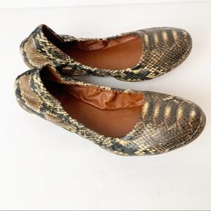 SZ 8 Lucky Brand Snake Reptile Print Flats